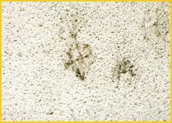 Boynton Beach Emergency Restoration Boynton Beach, FL 561-318-3425