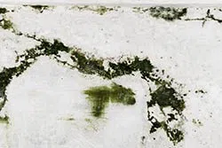 Boynton Beach Emergency Restoration Boynton Beach, FL 561-318-3425 Boynton Beach Emergency Restoration Boynton Beach, FL 561-318-3425