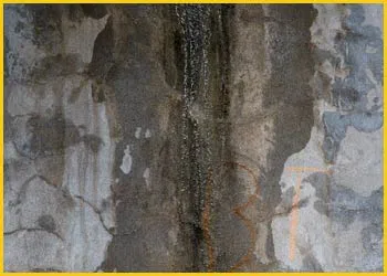 Boynton Beach Emergency Restoration Boynton Beach, FL 561-318-3425 - water-leaks-side